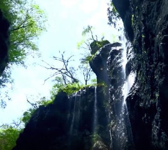 青山綠水，白龍江畔江畔息白鷺，兩岸綠橄欖入眼的都是純樸自然枝上花開(kāi)，春來(lái)水暖魚(yú)蝦戲水，鳥(niǎo)語(yǔ)花香心中充滿(mǎn)著舒暢之感祥宇生態(tài)產(chǎn)業(yè)園，位于隴南市武..